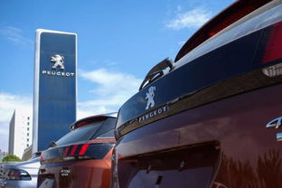 法系車 奢侈品牌榮耀與我無(wú)關(guān)